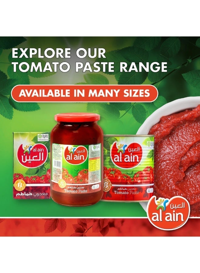 العين معجون الطماطم العين 1100 جم × 12 عبوة – علبة بالجملة - Image 3